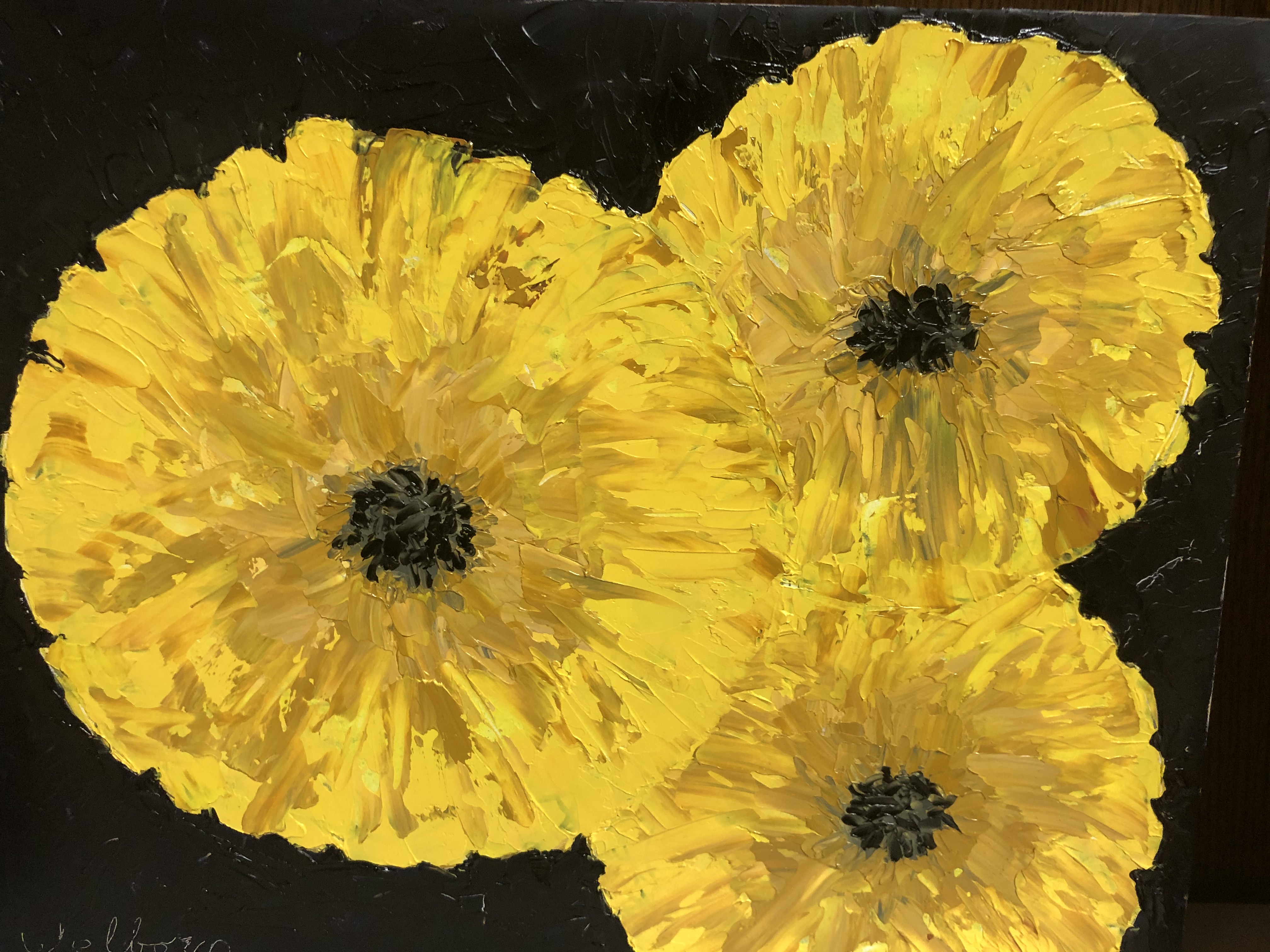 Three Yellow Chrysanthemums